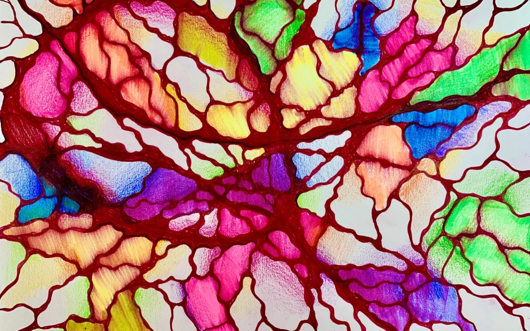 CORSO: “Utente Plus”                                                                                                                  Corso base di Neurografica